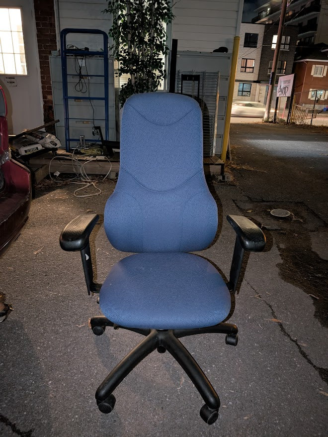 Blue Ergonomic High-Back Office Chair
