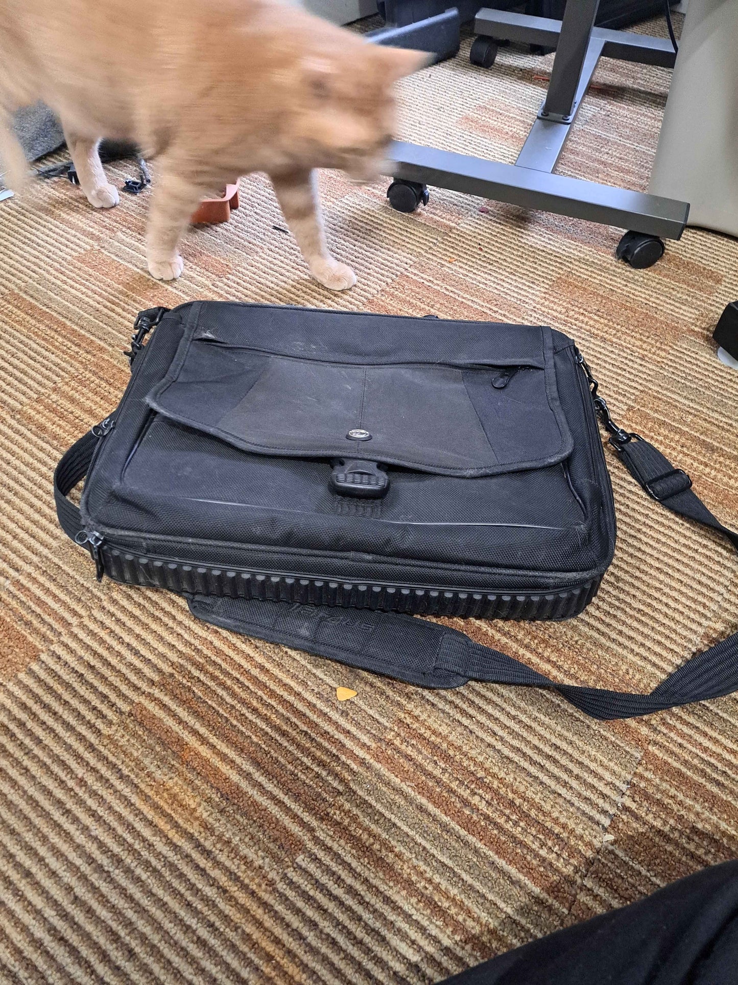 Black Computer / Laptop Shoulder Bag