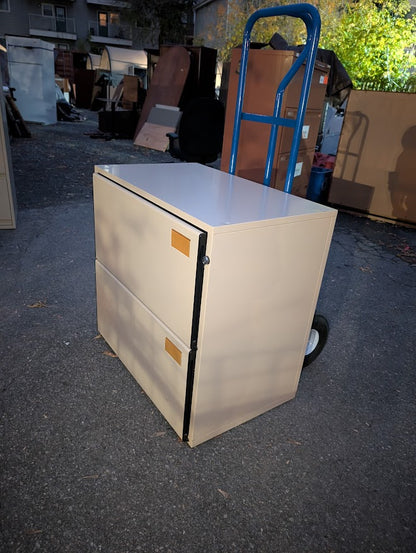 2-Drawer Metal Lateral Filing Cabinet (Beige)