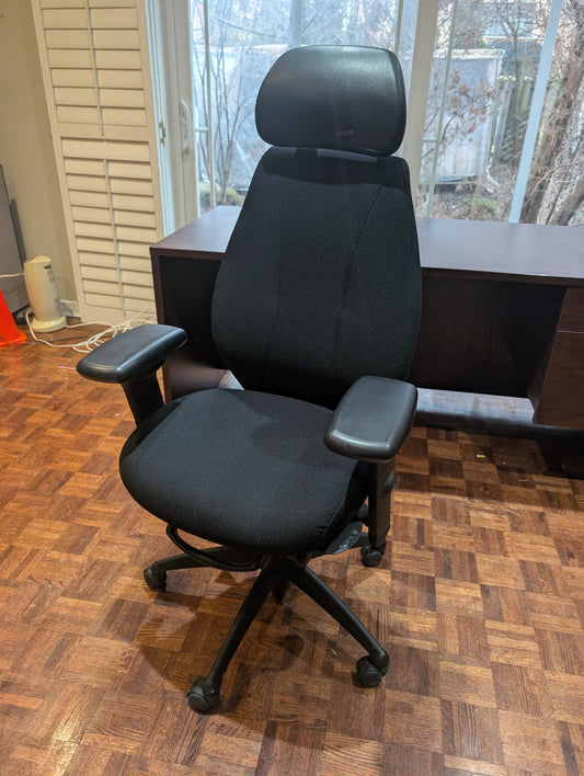 ergoCentric AirCentric 2 Ergonomic Office Chair w/ Headrest